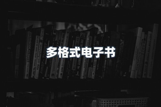 多格式电子书